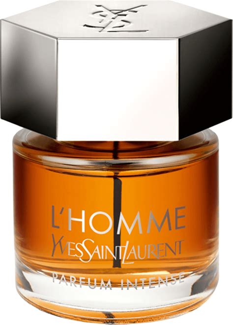 ysl pour homme intense 100ml|yves saint laurent intense homme.